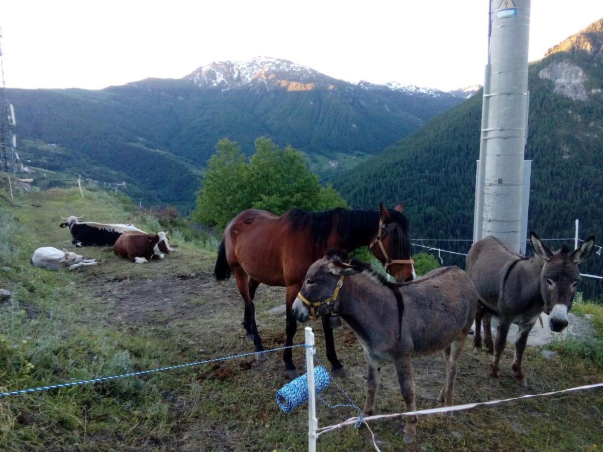 Agri-B&B Lou Col Canosio Dış mekan fotoğraf