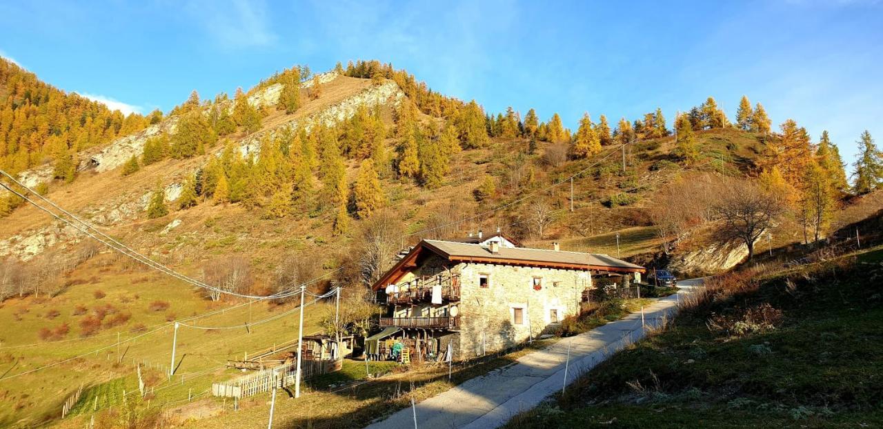 Agri-B&B Lou Col Canosio Dış mekan fotoğraf