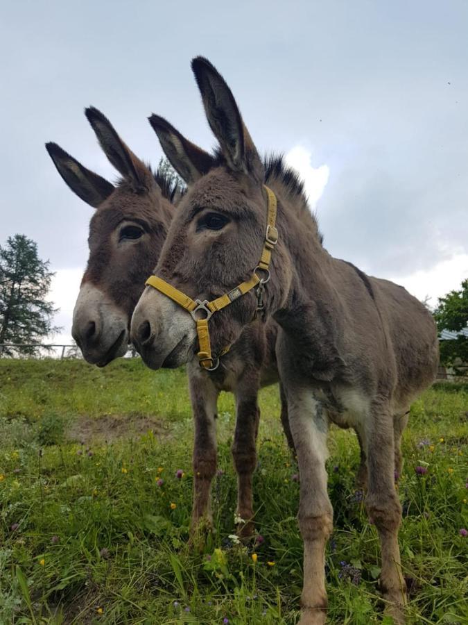 Agri-B&B Lou Col Canosio Dış mekan fotoğraf