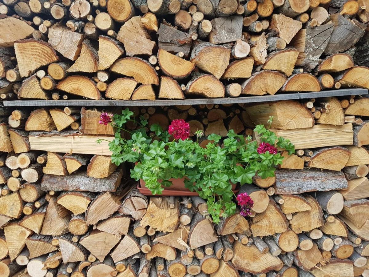 Agri-B&B Lou Col Canosio Dış mekan fotoğraf