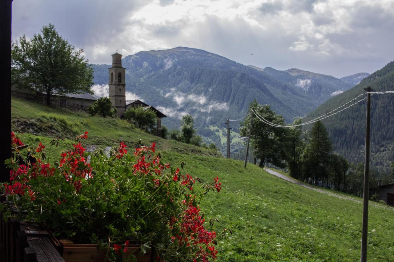 Agri-B&B Lou Col Canosio Dış mekan fotoğraf