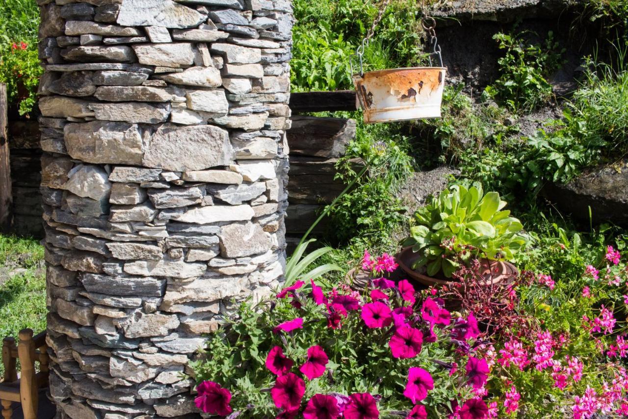 Agri-B&B Lou Col Canosio Dış mekan fotoğraf