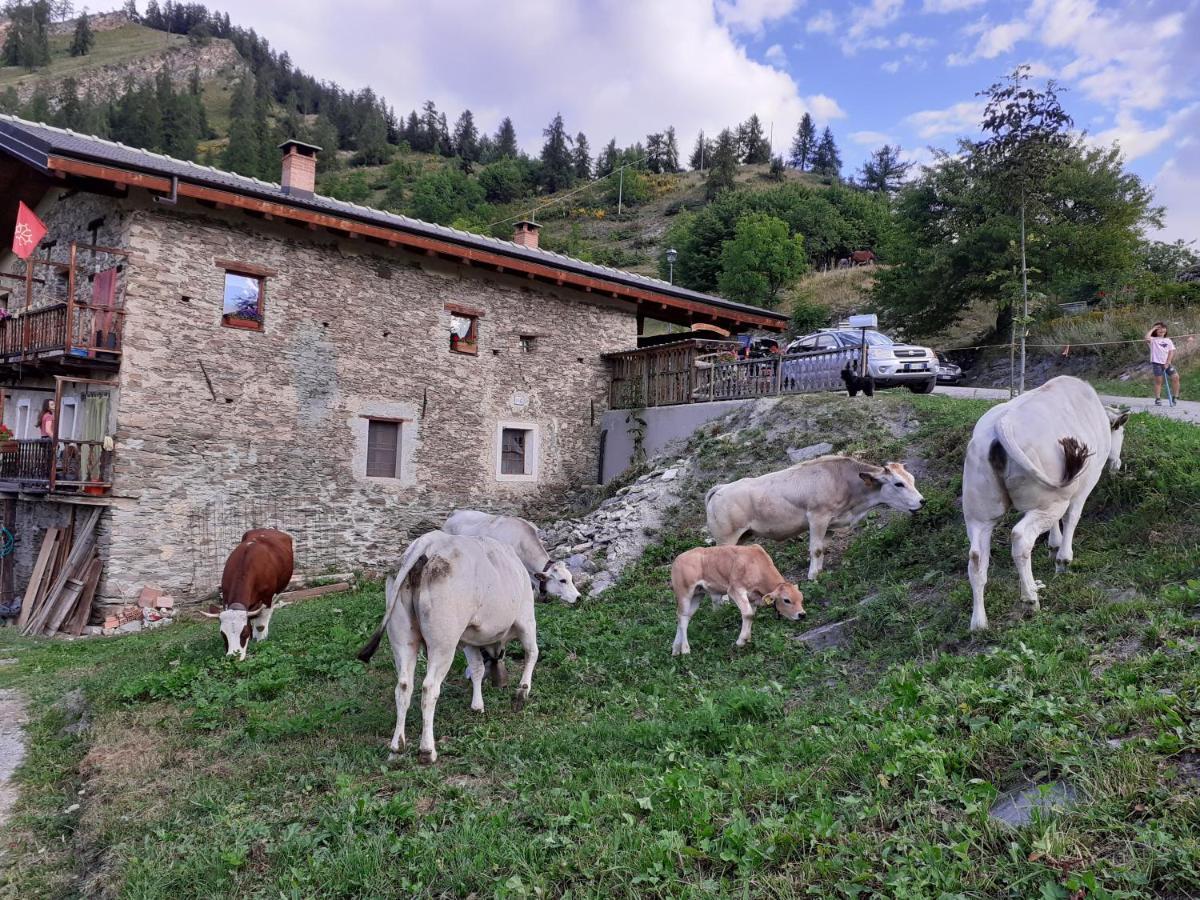 Agri-B&B Lou Col Canosio Dış mekan fotoğraf
