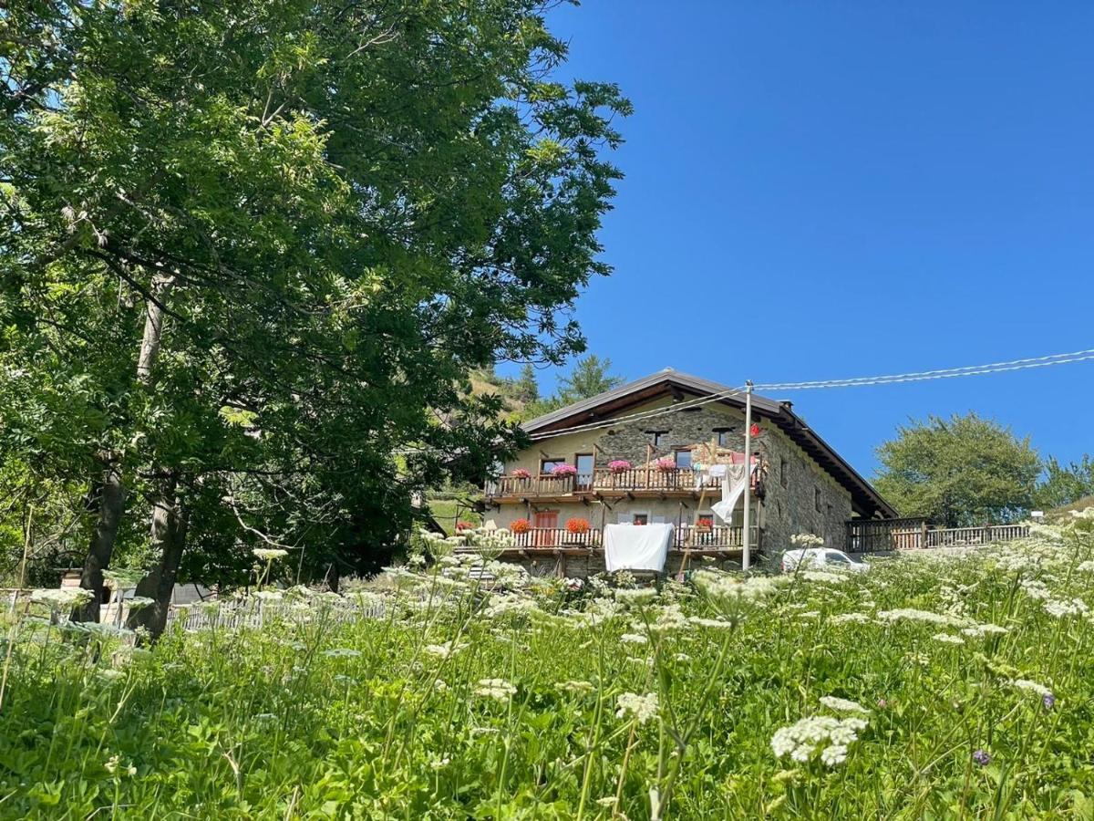 Agri-B&B Lou Col Canosio Dış mekan fotoğraf
