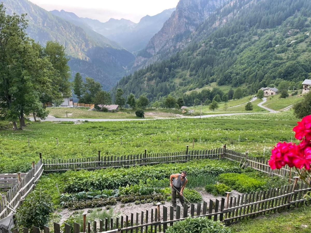 Agri-B&B Lou Col Canosio Dış mekan fotoğraf