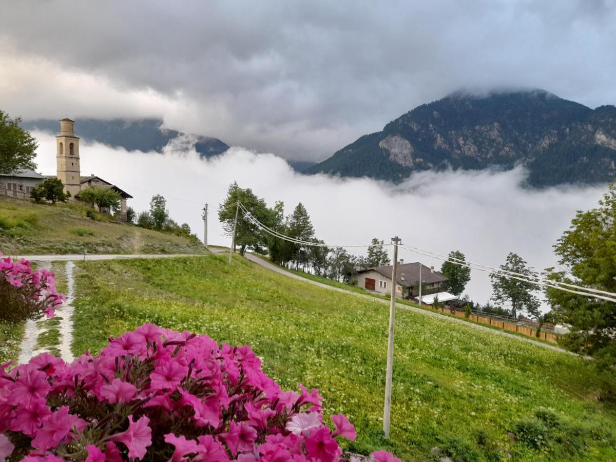 Agri-B&B Lou Col Canosio Dış mekan fotoğraf
