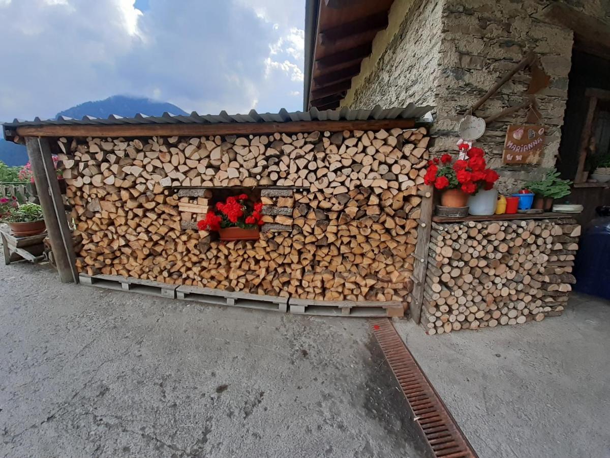 Agri-B&B Lou Col Canosio Dış mekan fotoğraf