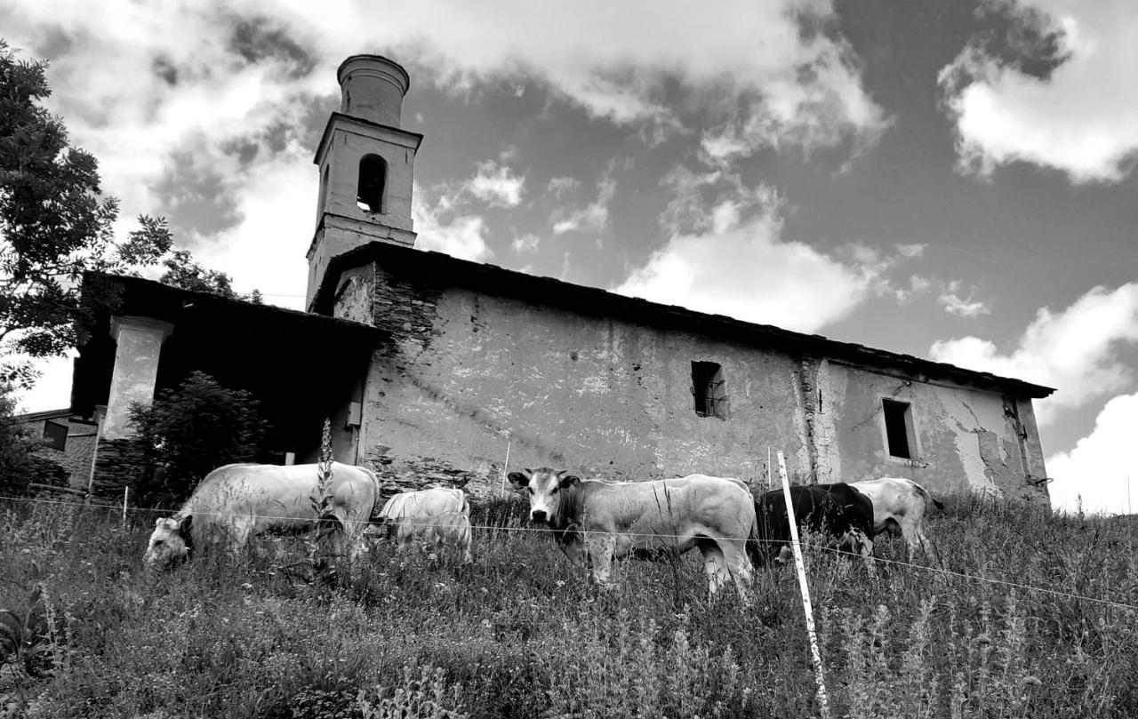 Agri-B&B Lou Col Canosio Dış mekan fotoğraf