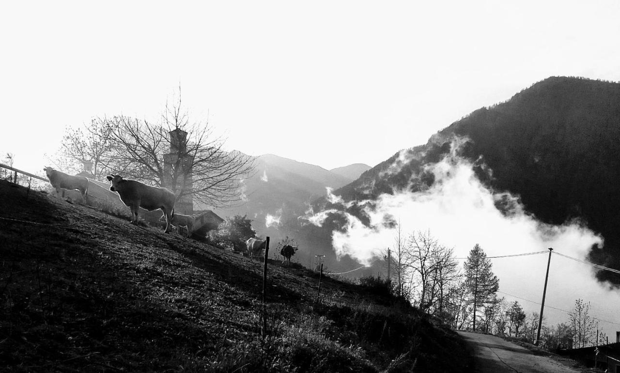 Agri-B&B Lou Col Canosio Dış mekan fotoğraf