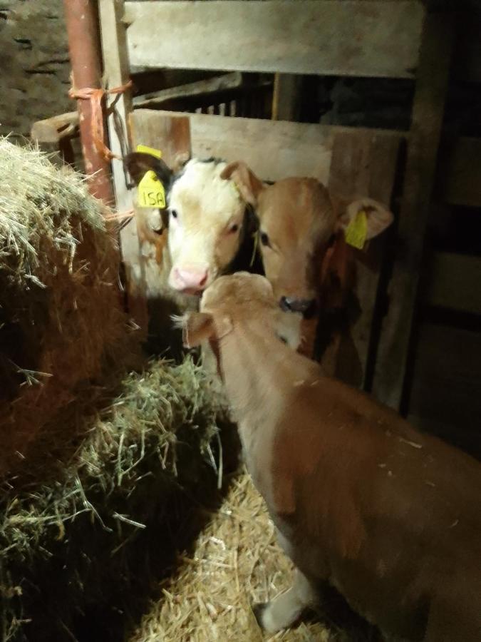 Agri-B&B Lou Col Canosio Dış mekan fotoğraf