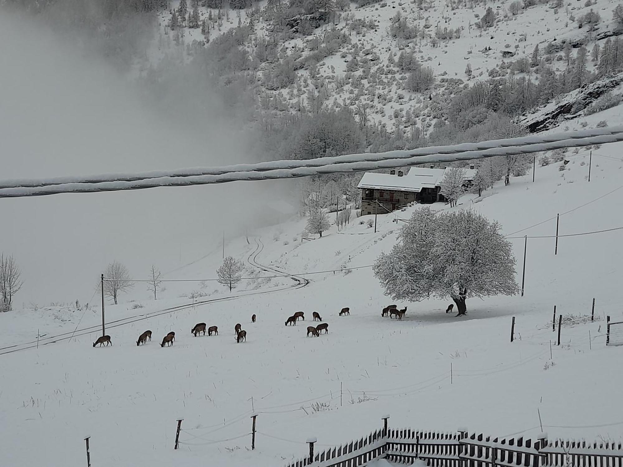 Agri-B&B Lou Col Canosio Dış mekan fotoğraf