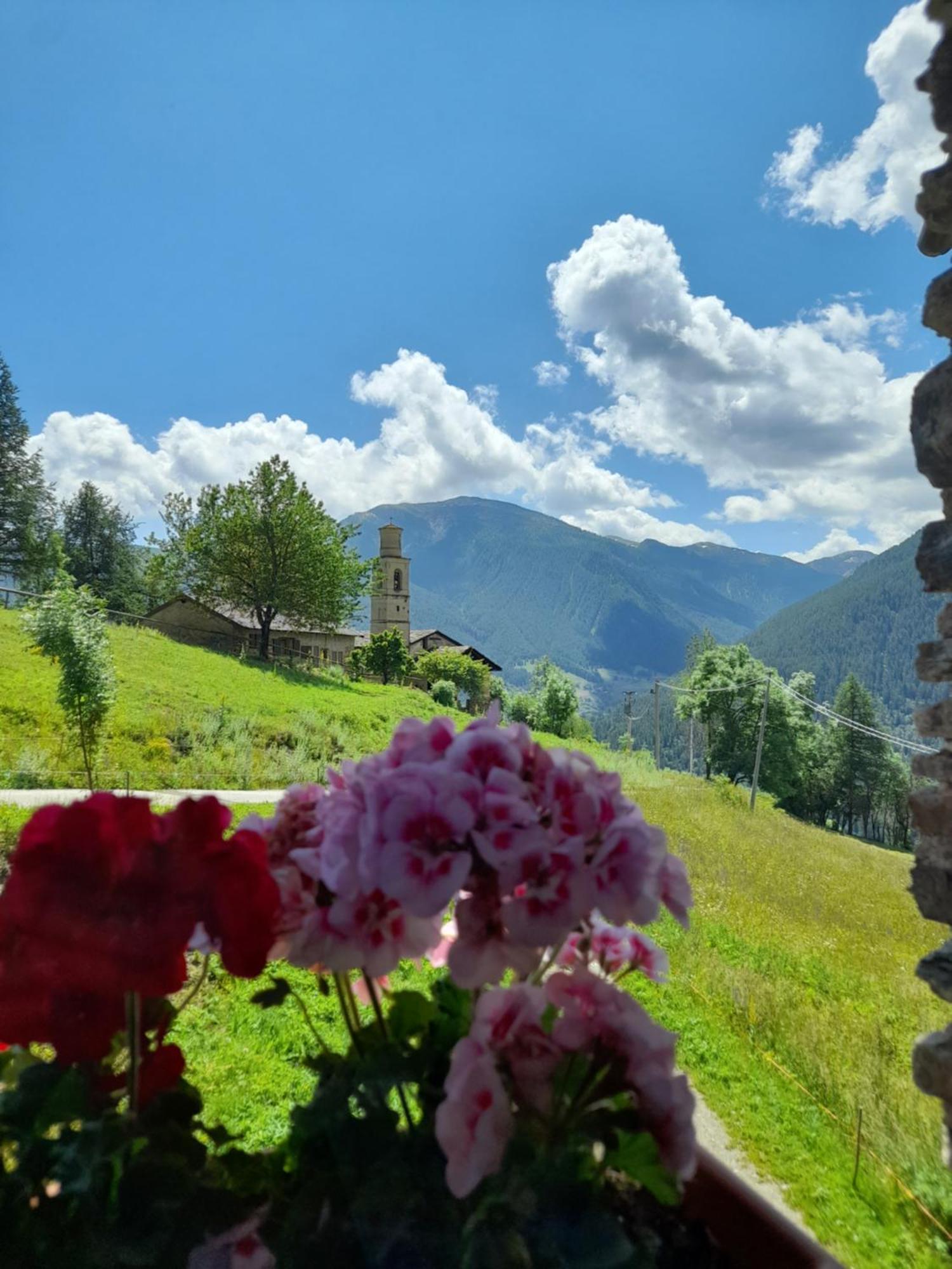 Agri-B&B Lou Col Canosio Dış mekan fotoğraf